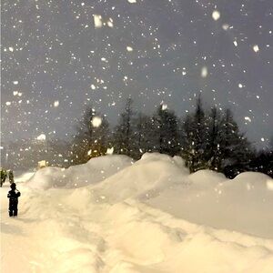 Meet your Posher, Delaney